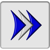 INTELSINT logo - Similar company to Formafix Gmbh