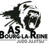 ASBR Judo Jujitsu logo - Similar company to Oxyl