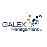Galex Management B.V. logo - Similar company to Ngen Telecom