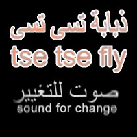 Tse Tse Fly Middle East logo - Similar company to Shakib