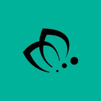 Chrysalida - valor & personas logo - Similar company to Bastis Consultores, C.A.