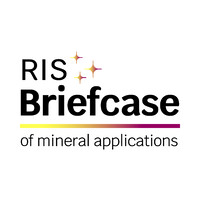 RISBriefcase logo - Similar company to Physi