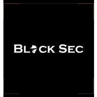 Black Sec logo - Similar company to Aman Security