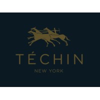 TECHIN logo - Similar company to Techin