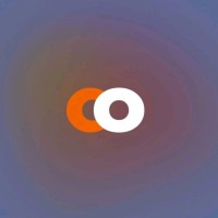 COSEO logo - Similar company to Interly Digital Agency B.V.