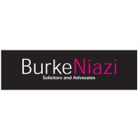 Burke Niazi Ltd logo - Similar company to Aspects Costing