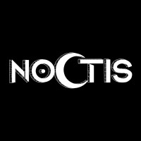 Noctis Events logo - Similar company to Mmib - Master In International Business Management
