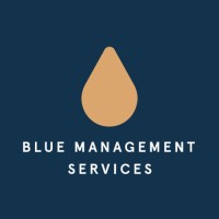 Blue Management Services logo - Similar company to P3 Properties