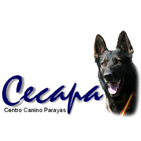 CECAPA CANTABRIA logo - Similar company to Yeswaves S.L