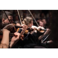 HSG Alumni Symphony Orchestra logo - Similar company to Müller-Möhl Foundation