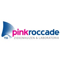 PinkRoccade Ziekenhuizen & Laboratoria logo - Similar company to Intersections.Nu