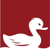 Feisty Duck logo - Similar company to Maxminterm Solutions