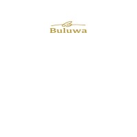 Buluwa Inc logo - Similar company to Korsmet