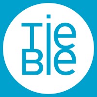 Tiebie Financiële Praktijk logo - Similar company to Endema Keijzers Verzekeringen
