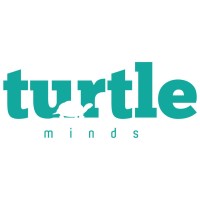 Turtle Minds logo - Similar company to Operation Springboard