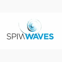 Spinwaves logo - Similar company to Cosys-Lab