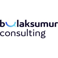 Bulaksumur Consulting Indonesia logo - Similar company to Inpartner Consulting