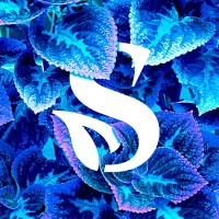 Semis logo - Similar company to Les Ateliers Wombat