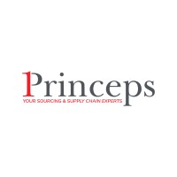 Princeps Ltd logo - Similar company to Avant Electronics Ltd.