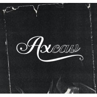 axcav logo - Similar company to Baryon Studio.
