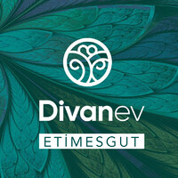 Divanev Etimesgut logo - Similar company to Shaky