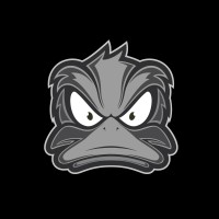 Ducktapes logo - Similar company to Audentity