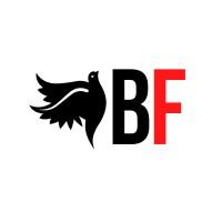 Breakthrough Foundation logo - Similar company to Breakthrough Trust