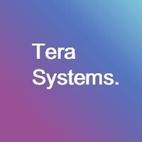 Terasystems logo - Similar company to Tera System, Inc.