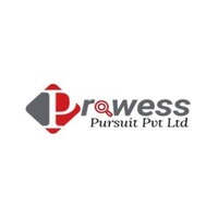Prowess Pursuit Private Limited logo - Similar company to Premium Msp