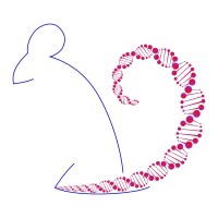 Biobelka Genomics logo - Similar company to Bionict