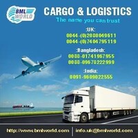 BML WORLD Cargo & Logistics logo - Similar company to Fidocs Customs Brokerage Ltd.