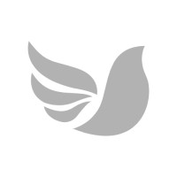 Irina Paz logo - Similar company to Jose Real Shoes