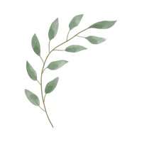 Financial Doula logo - Similar company to Here - Places Worth Sharing