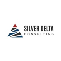 Silver Delta - Security & Risk Management Consulting