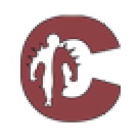 CodeImp Game Developments logo - Similar company to Emagine B.V.