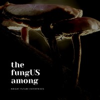 Wright Future Enterprises logo - Similar company to Docksoap - La Vie À Bord Écologique ⛵