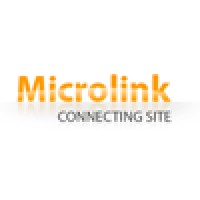 Microlink logo - Similar company to Microlink S.A.S.