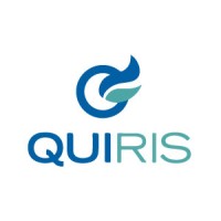 Quiris Srl logo - Similar company to Quiris