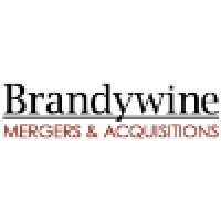 Brandywine Mergers & Acquisitions logo - Similar company to Startup Bucks
