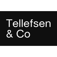 Tellefsen.co logo - Similar company to Zirinsky Strategy Llc