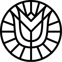 Tulip Films | Video production logo - Similar company to Grande Image | Video Production