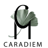CARADIEM logo - Similar company to Psy&Co Développement