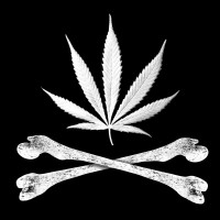 BLACK MARKET logo - Similar company to Devia