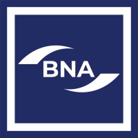 British Nursing Association