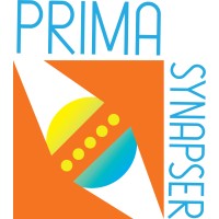 PrimaSynapser logo - Similar company to Bizniztools