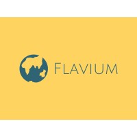 Flavium Consulting logo - Similar company to Rights For Peace