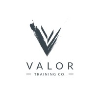 Valor Training Company LLC logo - Similar company to Professional Training Company