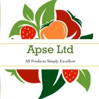 APSE LTD logo - Similar company to Apse Media