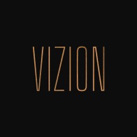 Vizion Capital logo - Similar company to Gcf Business Valuation
