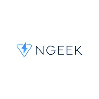 NGEEK SAS logo - Similar company to Technisolsas